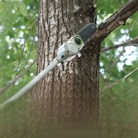 Smooth cutting Lithium-ion Pole Saw anti-kickback devices